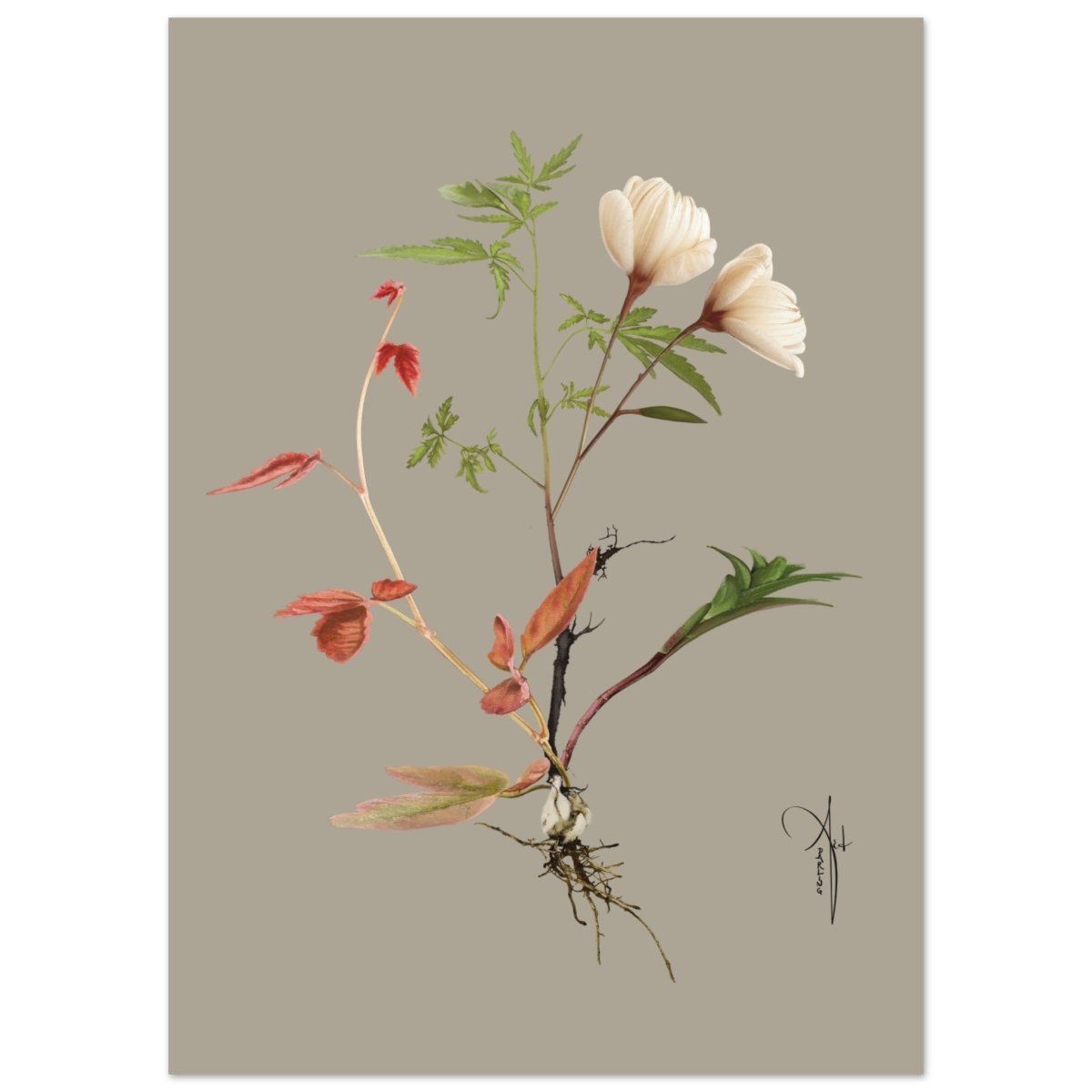 Fotokunst til salg af kunstner Rikke Darling