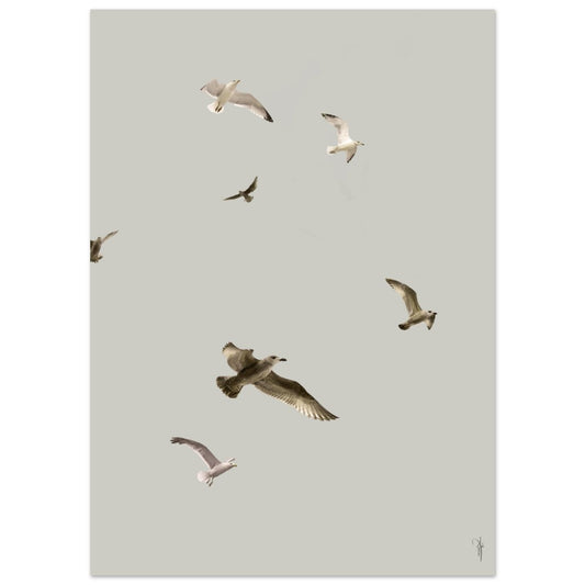 Fotokunst til salg af kunstner Rikke Darling