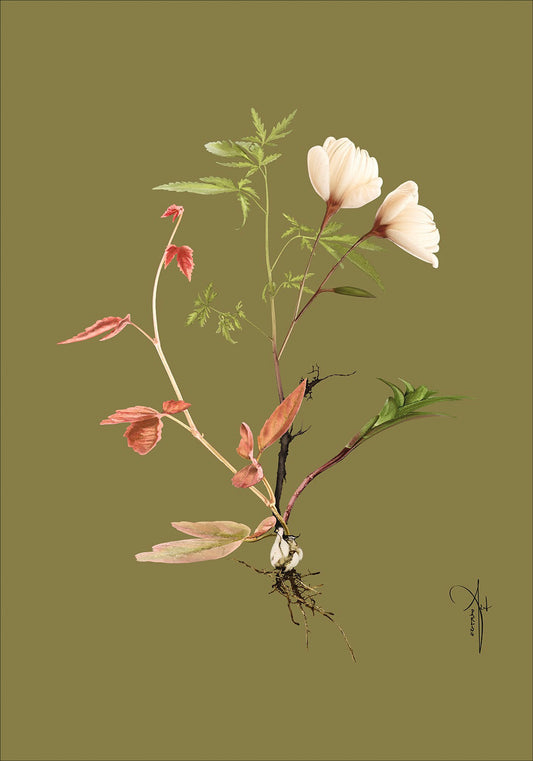 Kunstplakat "Botanical 3" (50x70 cm & 70x100 cm.)