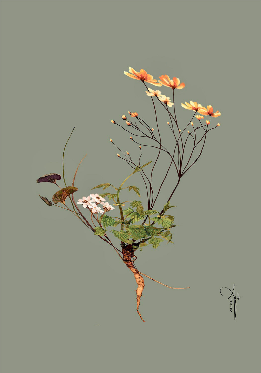 Kunstplakat "Botanical 2" (50x70 cm & 70x100 cm.)