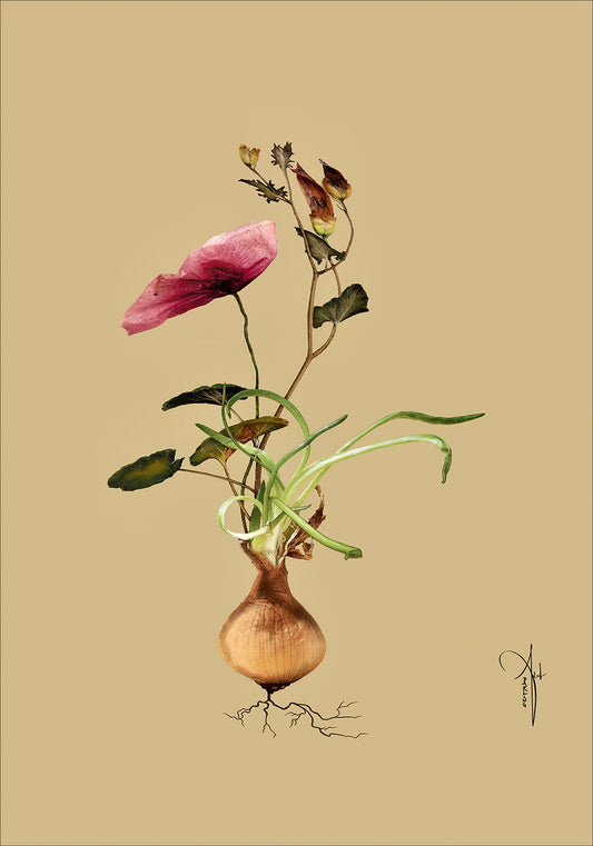 Kunstplakat "Botanical 1" (50x70 cm & 70x100 cm.)