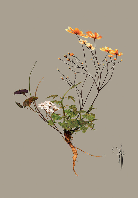 Kunstplakat "Botanical 2" (Grå) (50x70 cm & 70x100 cm.)
