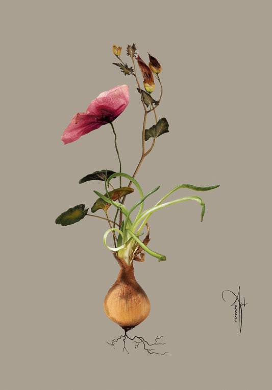 Kunstplakat "Botanical 1" (Grå) (50x70 cm & 70x100 cm.)