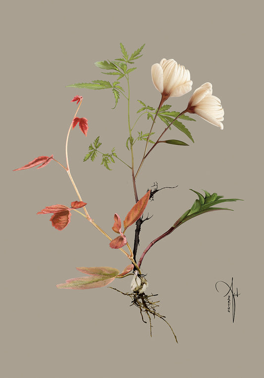 Kunstplakat "Botanical 3" (Grå) (50x70 cm & 70x100 cm.)