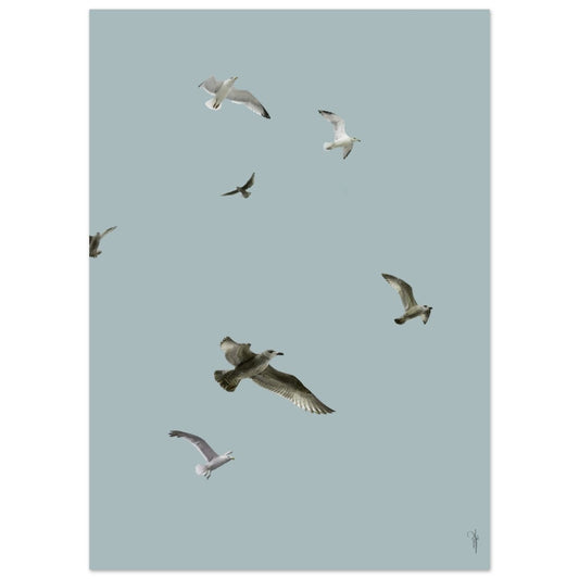 Fotokunst til salg af kunstner Rikke Darling