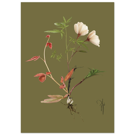 Fotokunst til salg af kunstner Rikke Darling